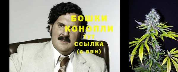 мескалин Гусиноозёрск