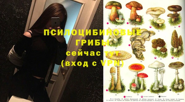 дживик Тихвин