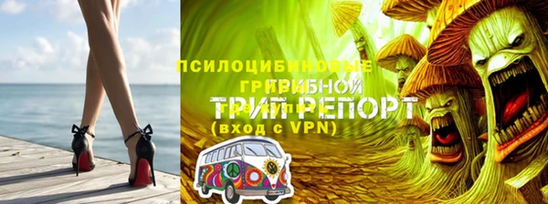 мескалин Гусиноозёрск