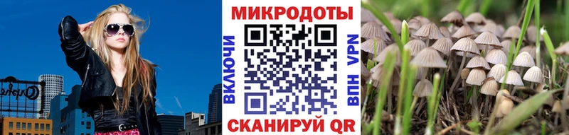 купить наркотик blacksprut вход Галлюциногенные грибы ЛСД Туймазы